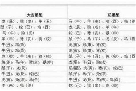 1982生肖狗|1982年属狗的是什么命，82年出生的狗五行属什么